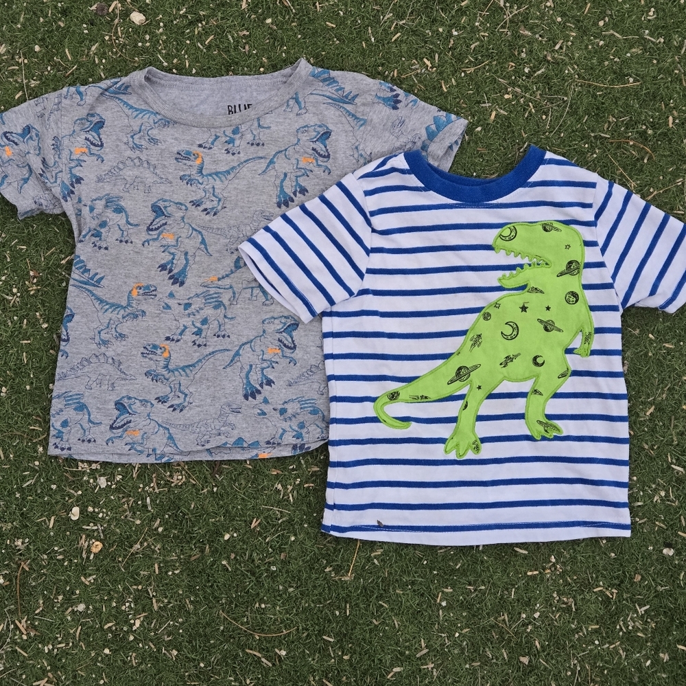 🦕 Boys Dinosaur Pack of 2 t-shirts, Size 2T